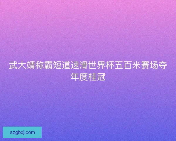 武大靖称霸短道速滑世界杯五百米赛场夺年度桂冠