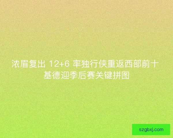 浓眉复出 12+6 率独行侠重返西部前十 基德迎季后赛关键拼图